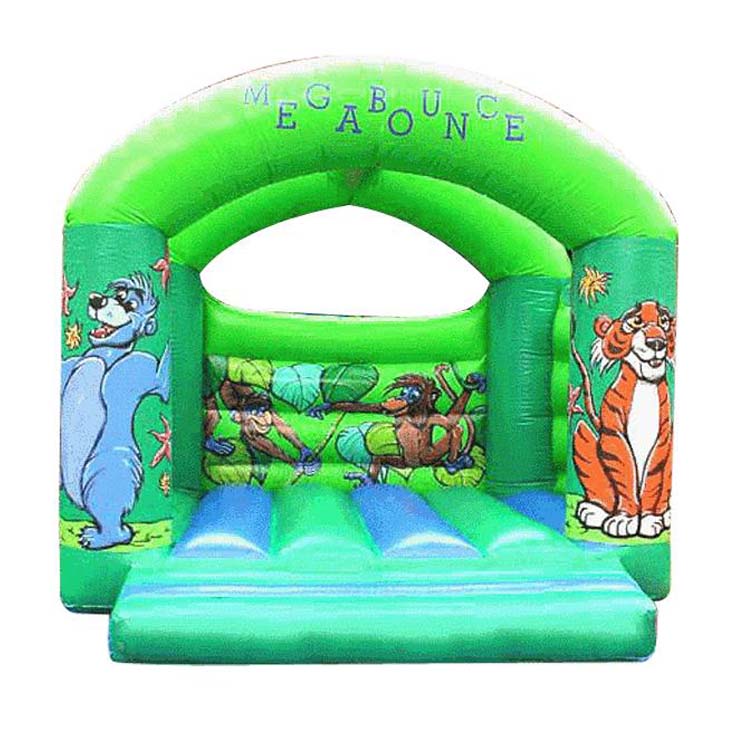 Inflatable Bounce FLBO-10054
